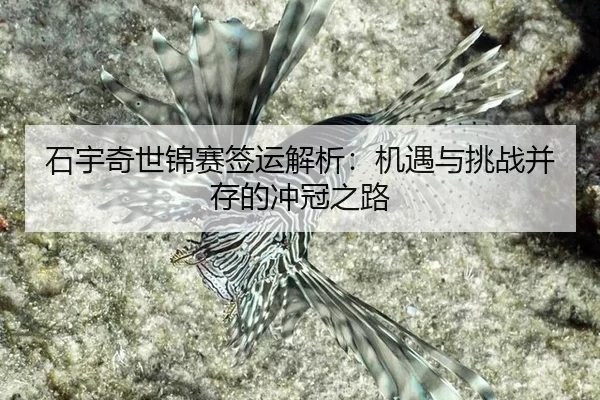 shi-yu-qi-shi-jin-sai-qian-yun-jie-xi-ji-yu-yu-tiao-zhan-bing-cun-de-chong-guan-zhi-lu-2-185.jpg