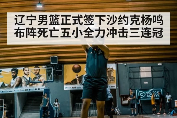 辽宁男篮正式签下沙约克杨鸣布阵死亡五小全力冲击三连冠