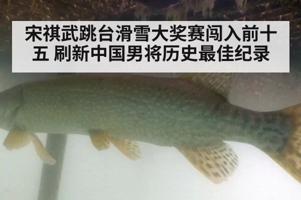 宋祺武跳台滑雪大奖赛闯入前十五 刷新中国男将历史最佳纪录