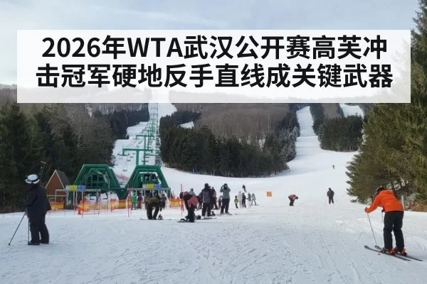 2026年WTA武汉公开赛高芙冲击冠军硬地反手直线成关键武器
