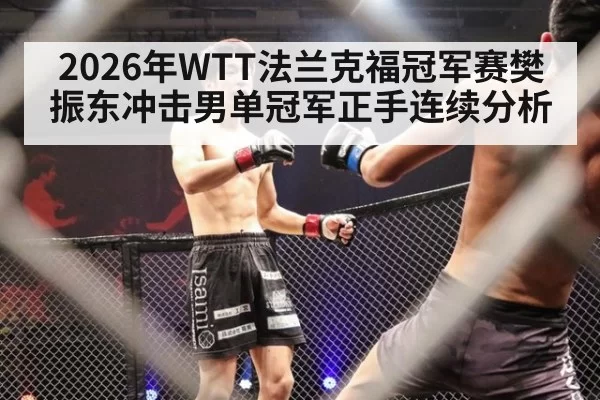 2026年WTT法兰克福冠军赛樊振东冲击男单冠军正手连续分析